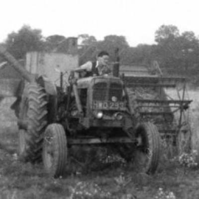 Harvest Time Early 1950s