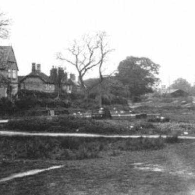 The Common Early 1950s