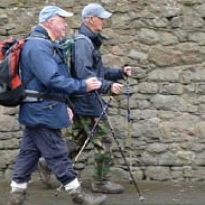 Walkers