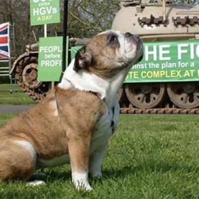 Bulldog