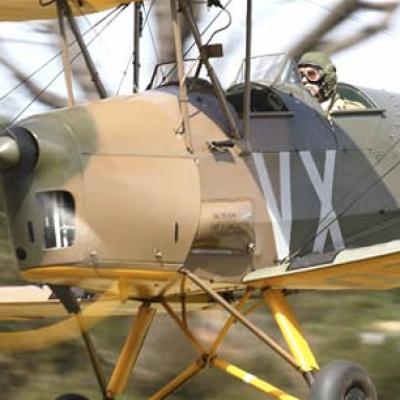 Tiger Moth Raf Closeup