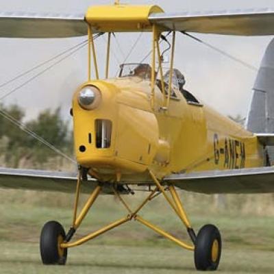 Tiger Moth
