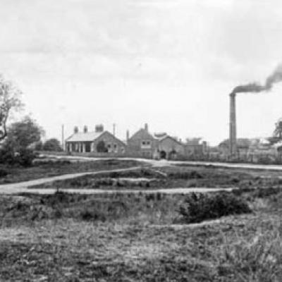 View Across The Common