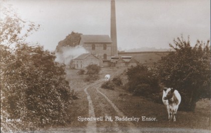 speedwell postcard 420x264